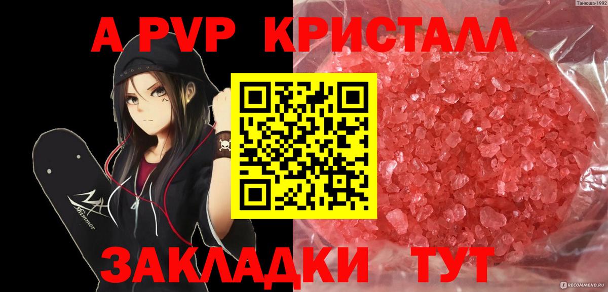 A PVP СК КРИС Карасук