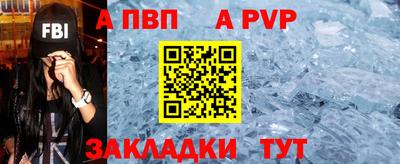шишки Камышлов