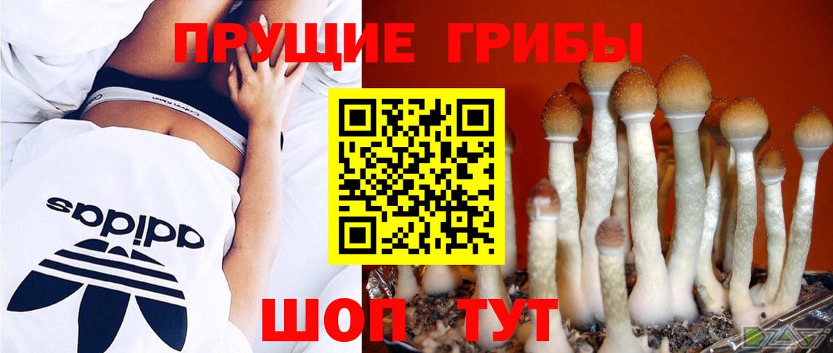 Псилоцибиновые грибы MAGIC MUSHROOMS Карасук